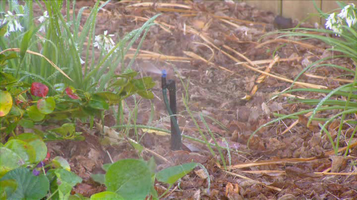 watering system